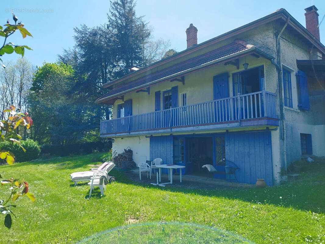 Maison à VILLIEU-LOYES-MOLLON