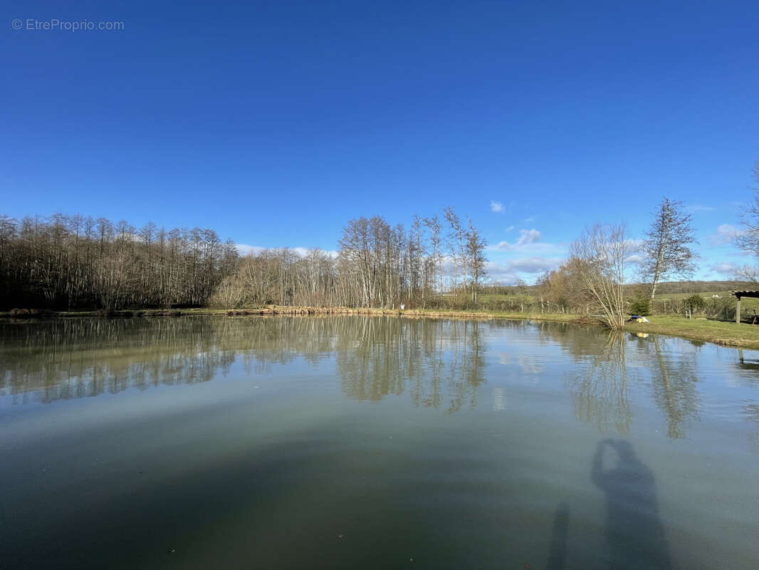 Terrain à VY-LES-LURE