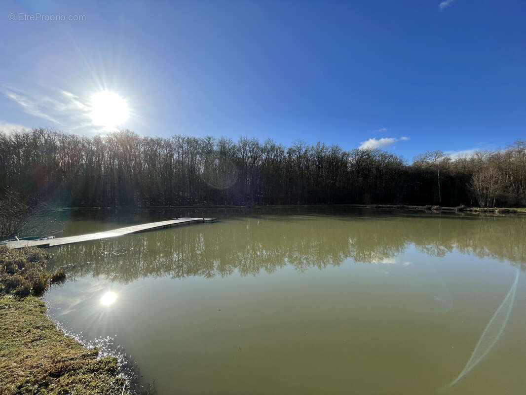 Terrain à VY-LES-LURE