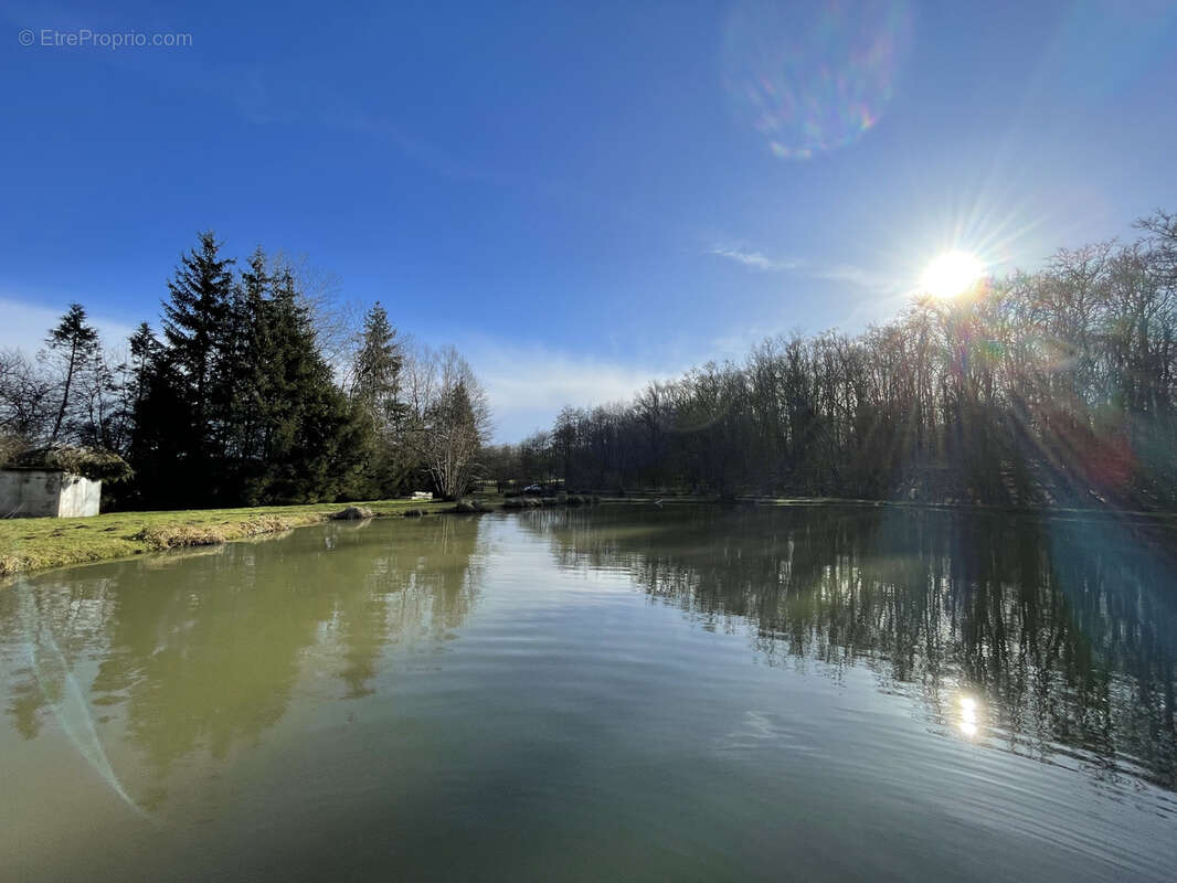 Terrain à VY-LES-LURE