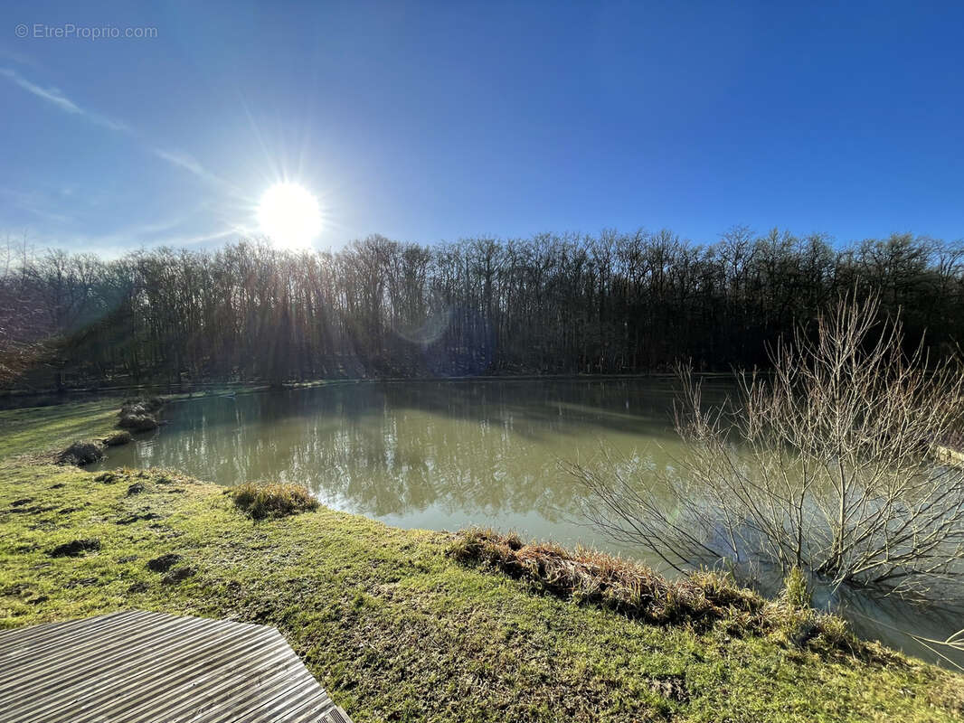 Terrain à VY-LES-LURE