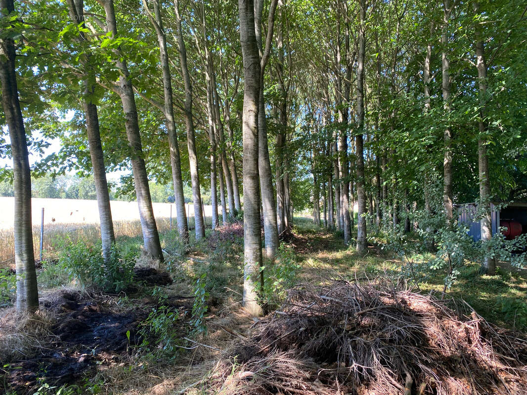 Maison à POIX-DE-PICARDIE