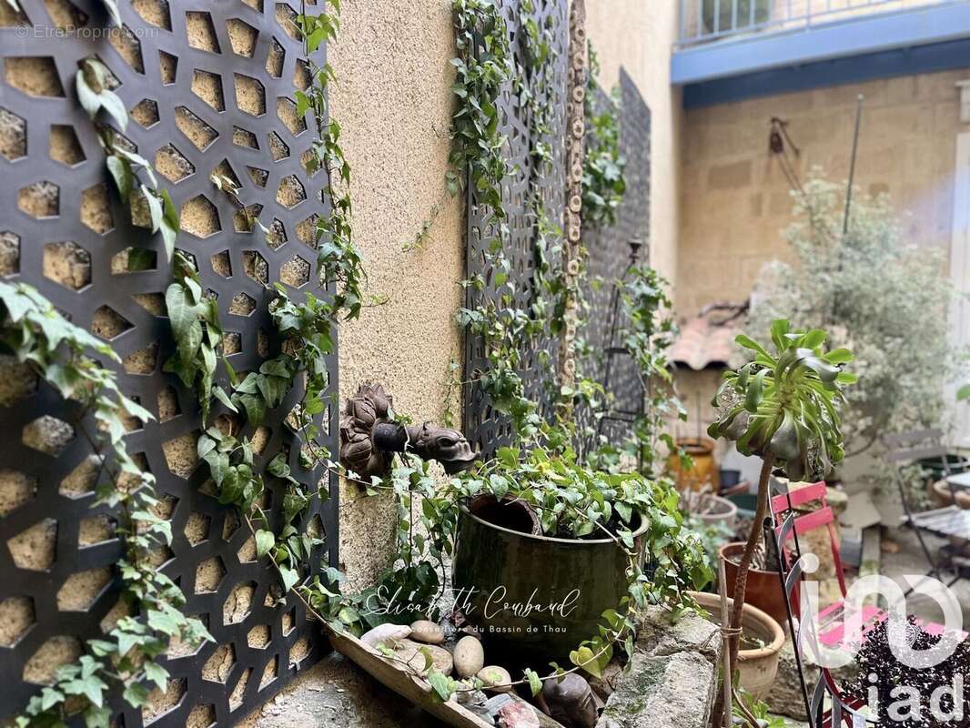 Photo 6 - Maison à LOUPIAN