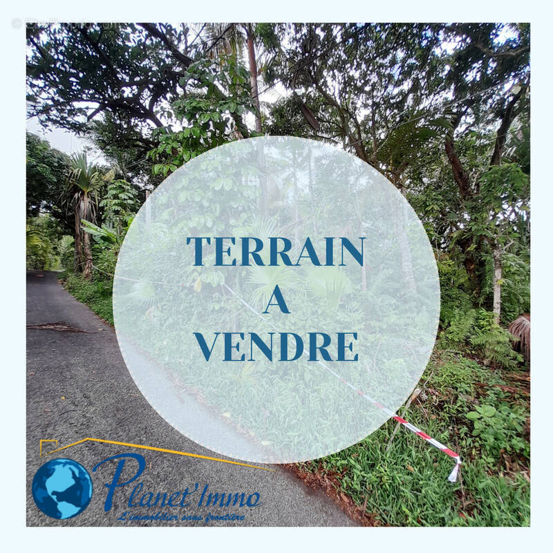 Terrain à SAINT-JOSEPH