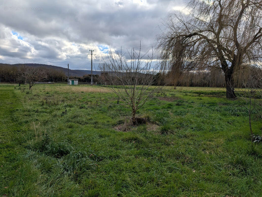 Terrain à MARTRES-TOLOSANE