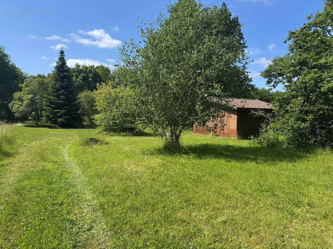 Terrain à BELIN-BELIET