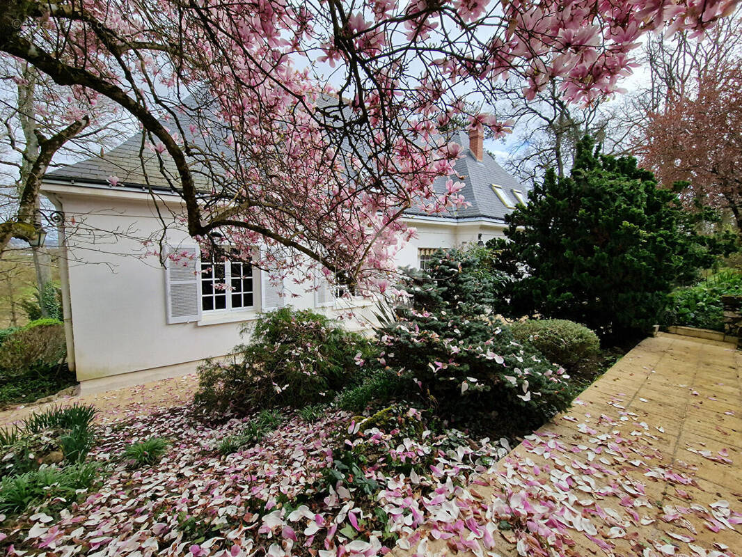 Maison à JOUE-LES-TOURS
