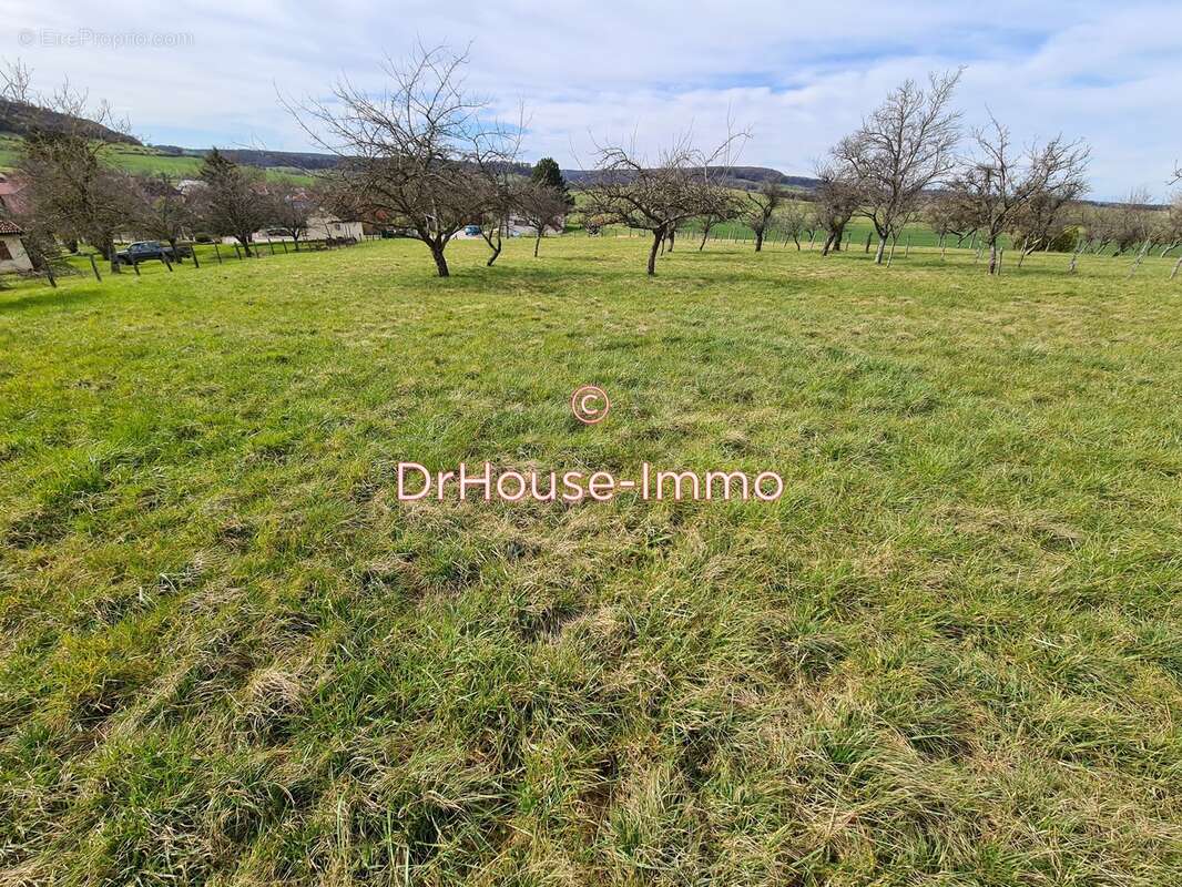 Terrain à MESANDANS