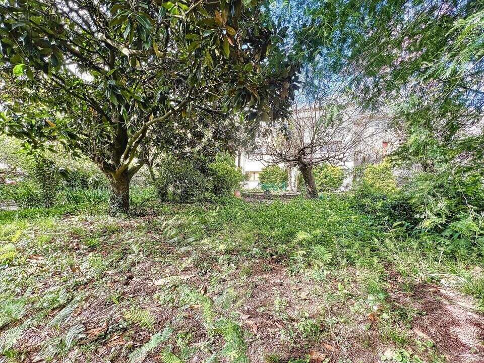 Appartement à LABEGUDE