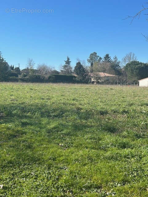 Terrain à BEAUPUY