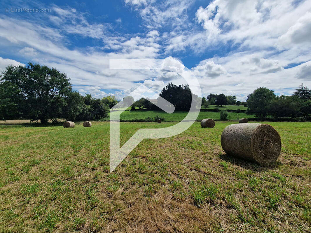 Terrain à CASTEIDE-CANDAU