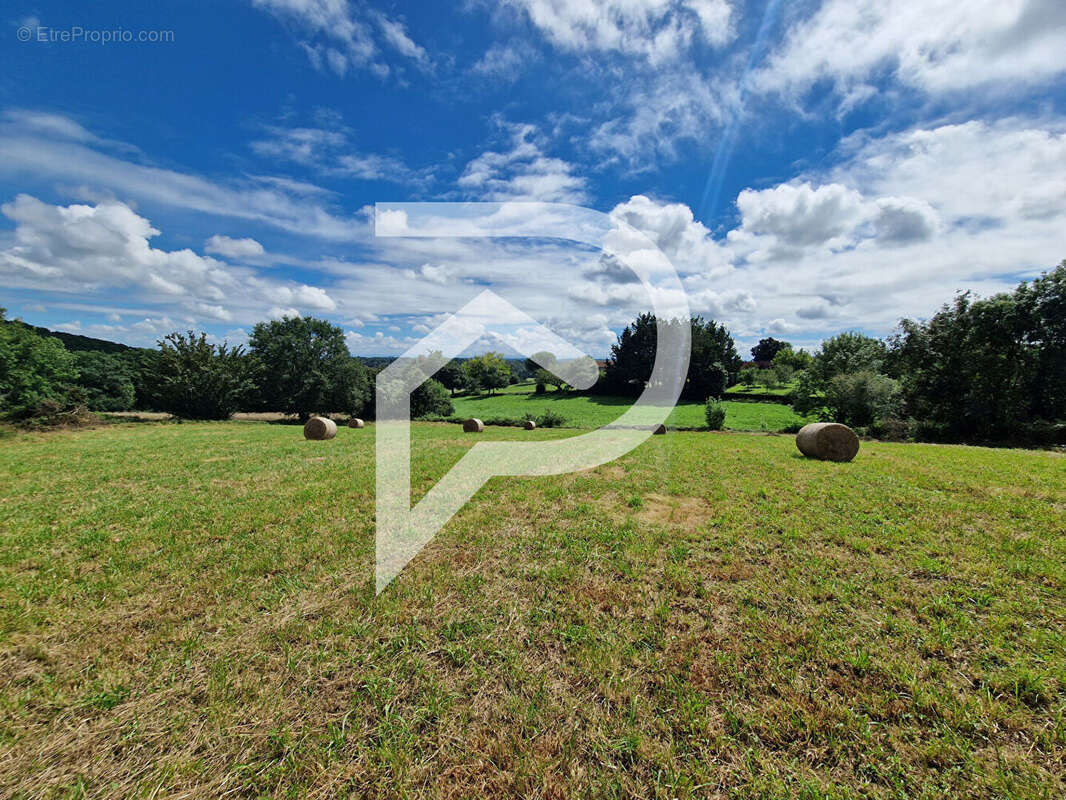 Terrain à CASTEIDE-CANDAU