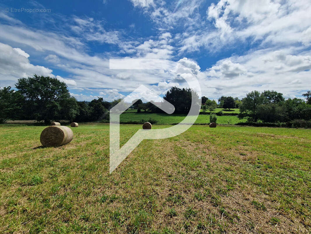 Terrain à CASTEIDE-CANDAU