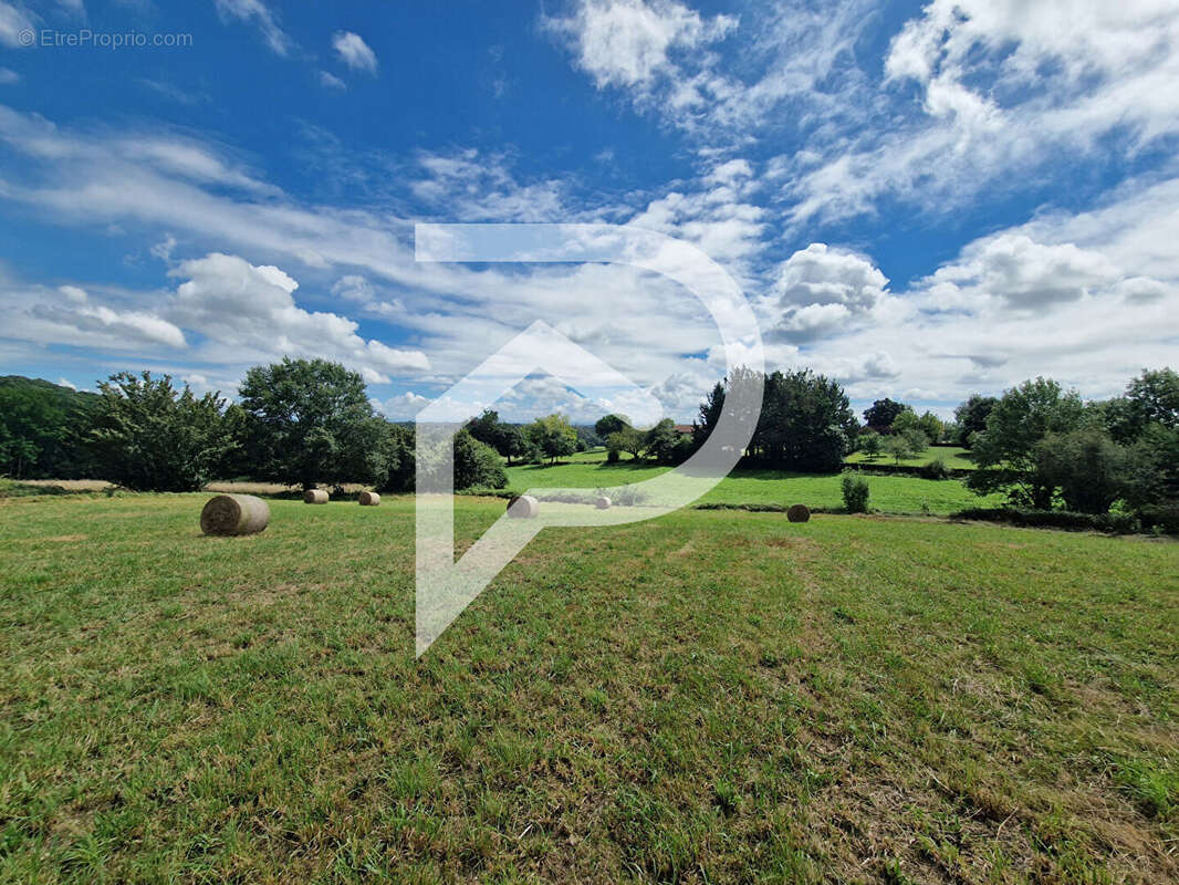 Terrain à CASTEIDE-CANDAU