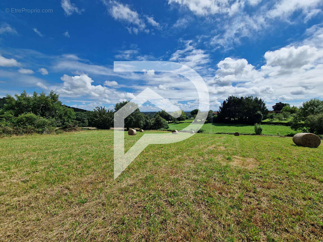 Terrain à CASTEIDE-CANDAU