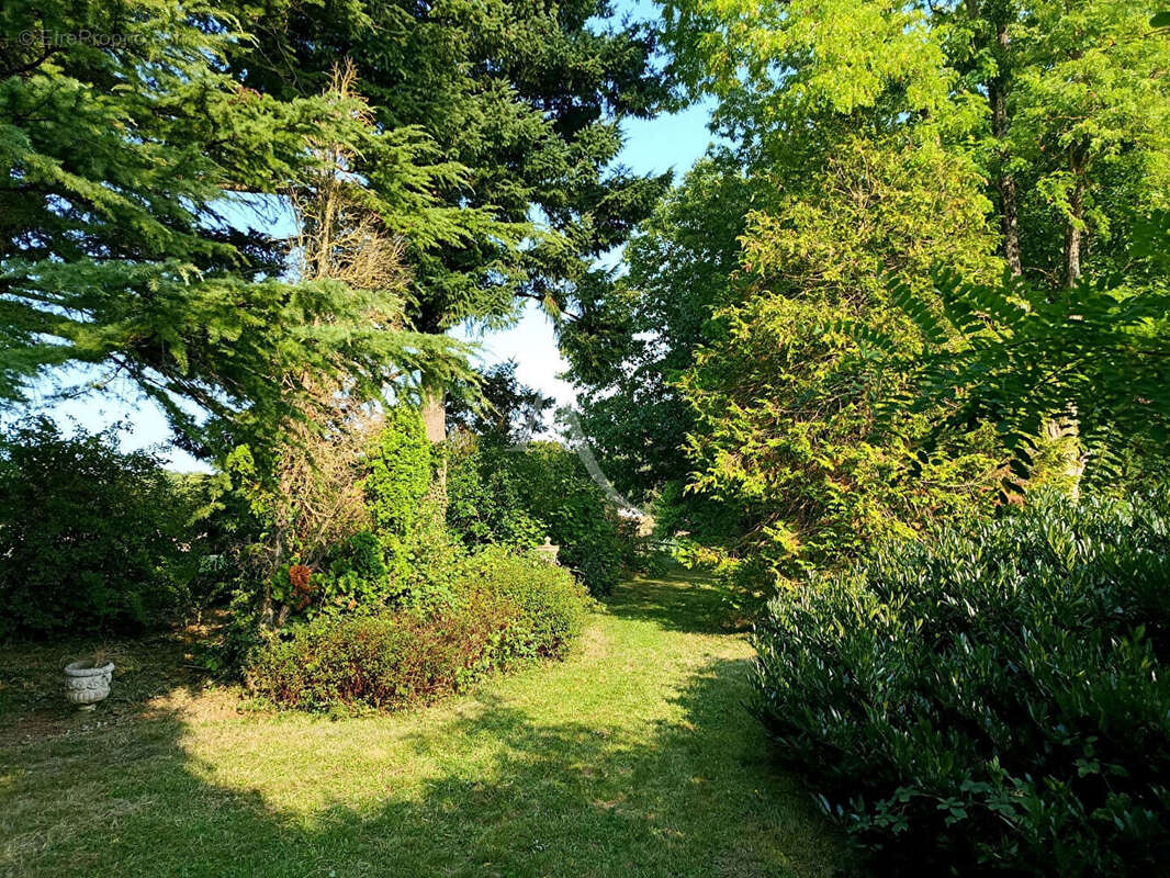 Maison à MARIGNY-LES-USAGES
