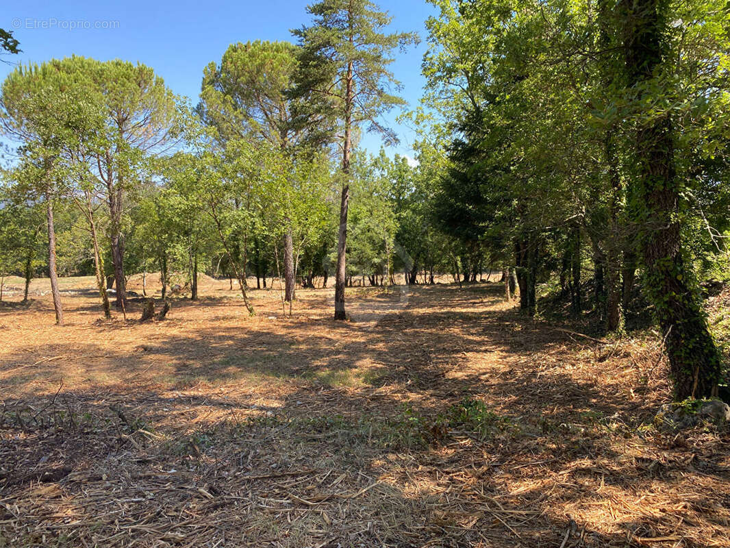 Terrain à TOURRETTES