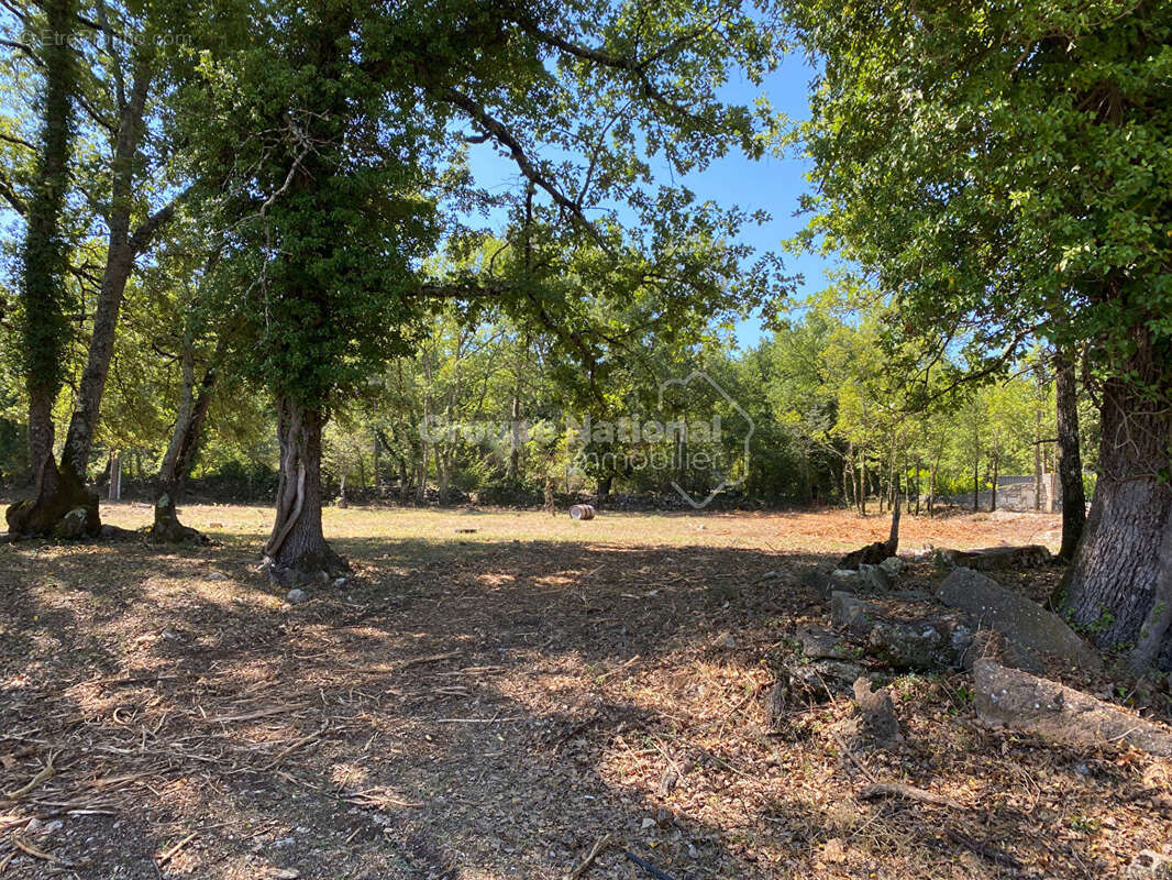 Terrain à TOURRETTES