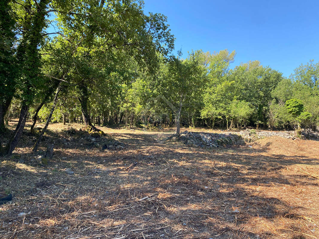 Terrain à TOURRETTES