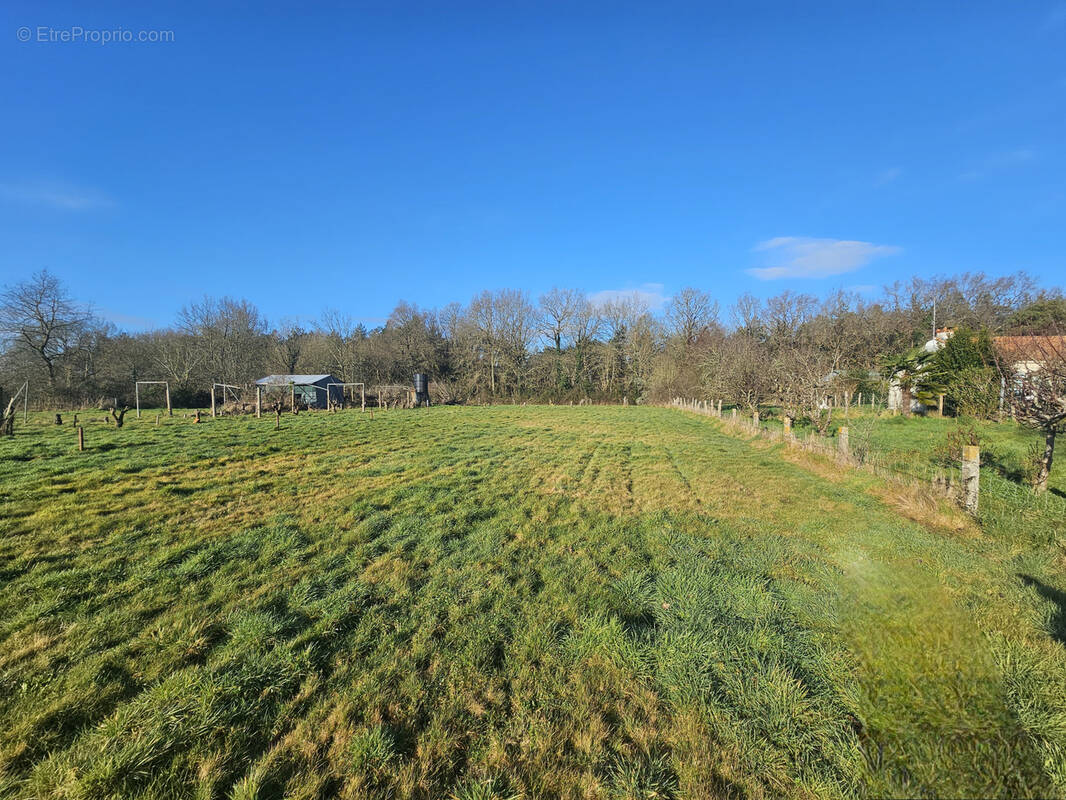 Terrain à TALMONT-SAINT-HILAIRE
