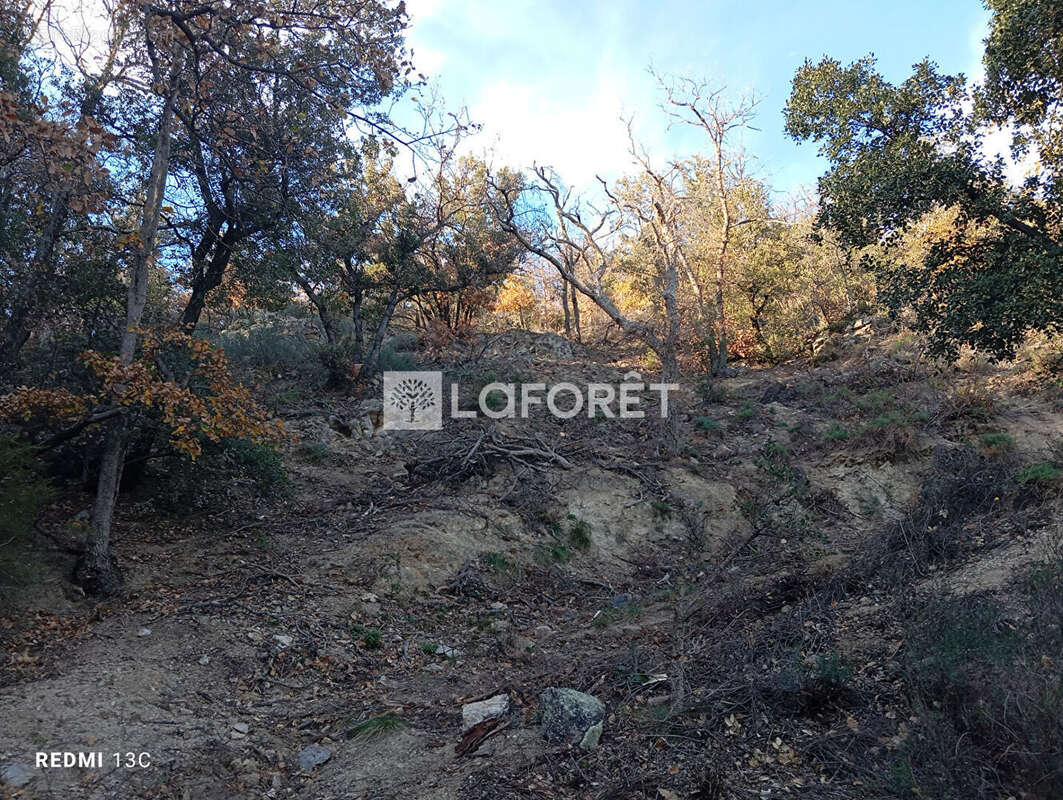 Terrain à ARLES-SUR-TECH