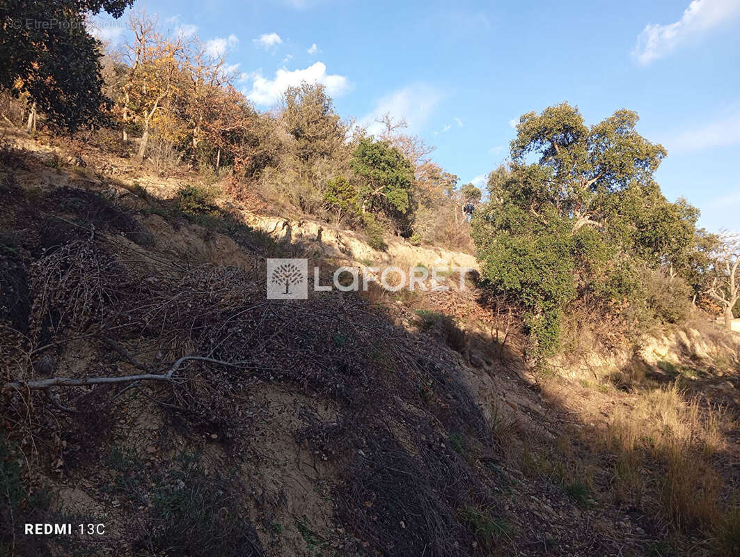 Terrain à ARLES-SUR-TECH