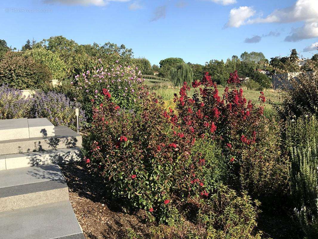 Maison à SAINT-DIDIER-AU-MONT-D&#039;OR