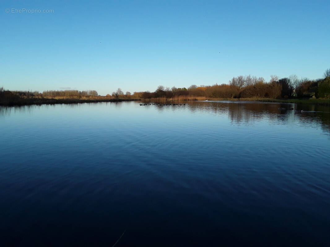 Terrain à CAYEUX-SUR-MER