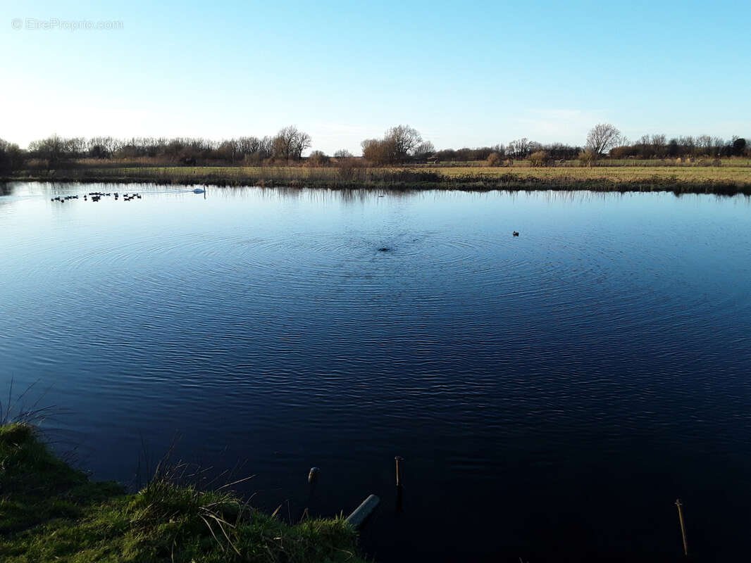 Terrain à CAYEUX-SUR-MER
