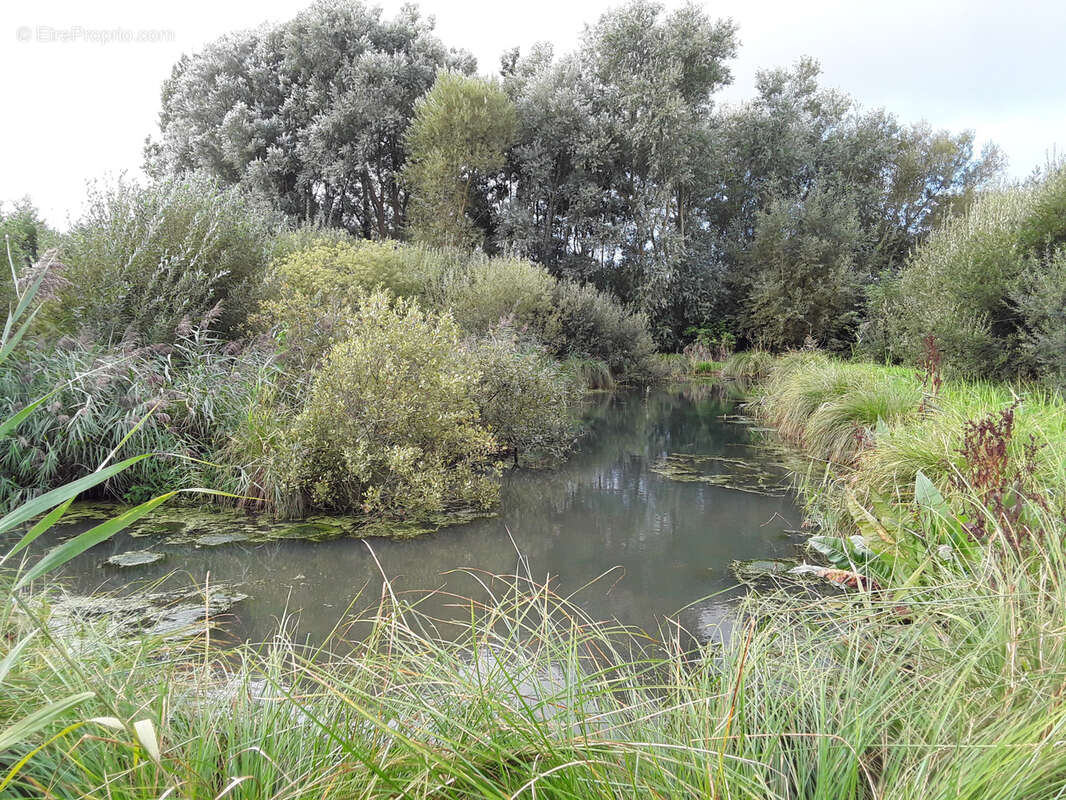 Terrain à CAYEUX-SUR-MER