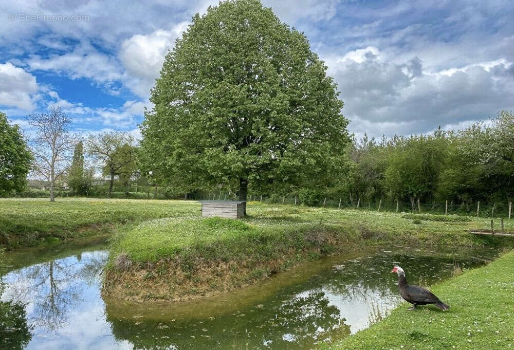Maison à BAZOUGES-SUR-LE-LOIR