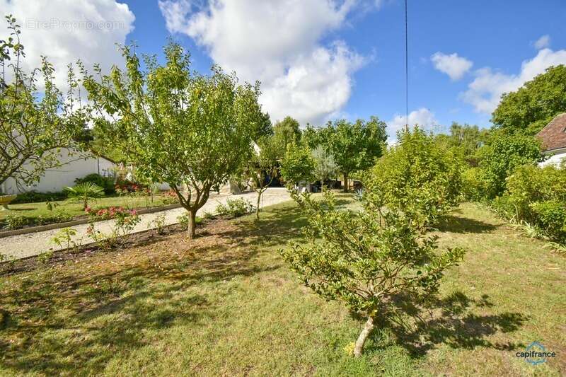 Maison à SELLES-SUR-CHER