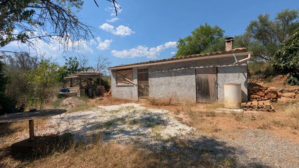 Terrain à MONTFORT-SUR-ARGENS