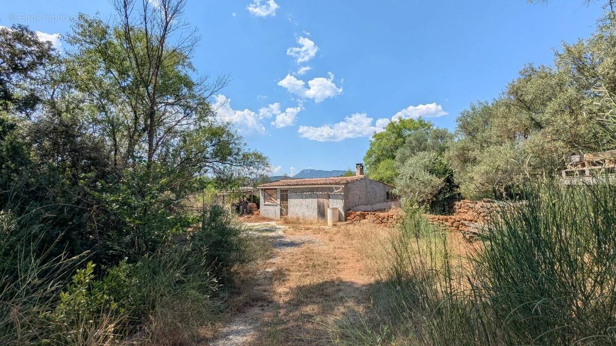 Terrain à MONTFORT-SUR-ARGENS