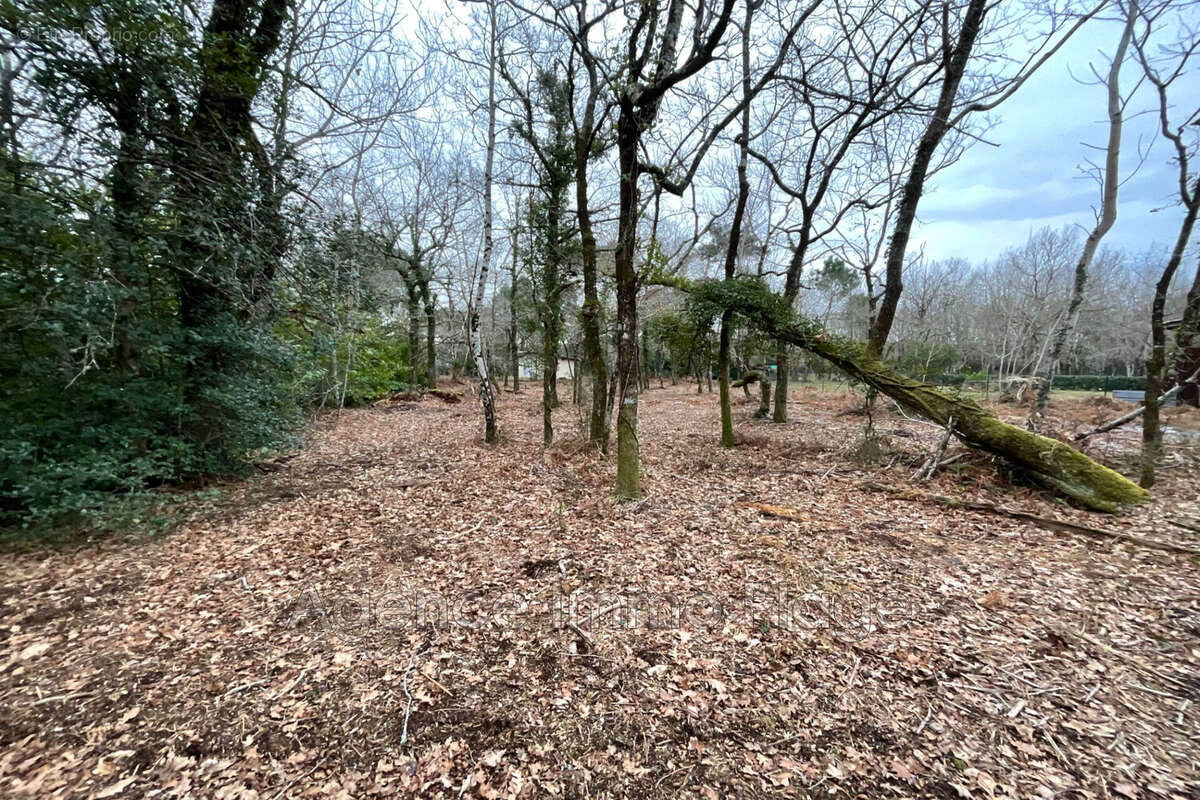 Terrain à GRAYAN-ET-L&#039;HOPITAL