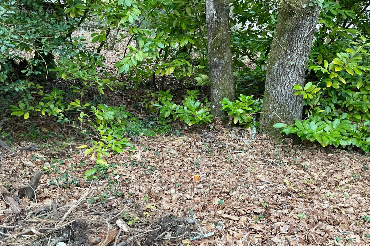 Terrain à GRAYAN-ET-L&#039;HOPITAL