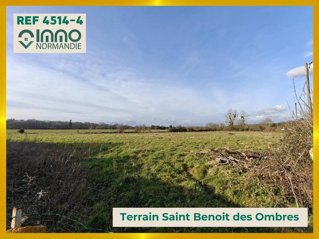 Terrain à SAINT-BENOIT-DES-OMBRES