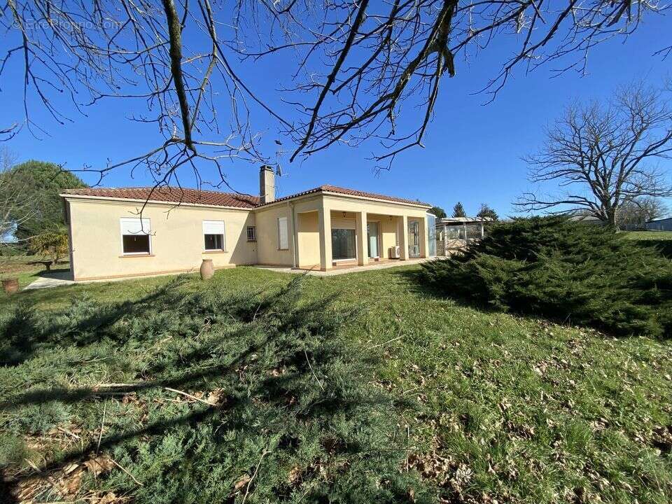 #maison #type t4 #dépendances #sudouest #hangar #hectares - Maison à CAZAUBON