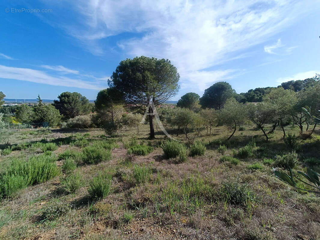 Terrain à LEZIGNAN-CORBIERES