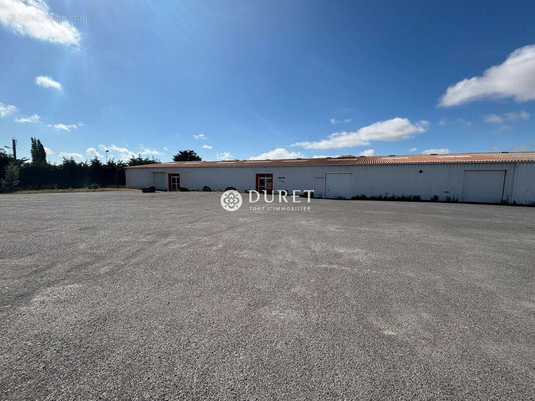 Commerce à BEAUVOIR-SUR-MER