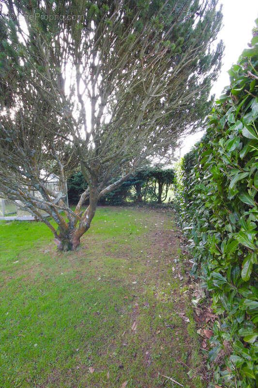 Maison à SAINTE-HELENE-BONDEVILLE