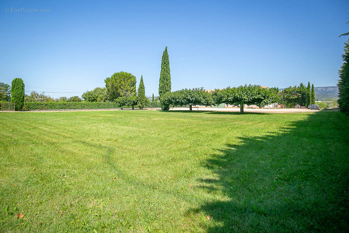 Commerce à MALLEMORT