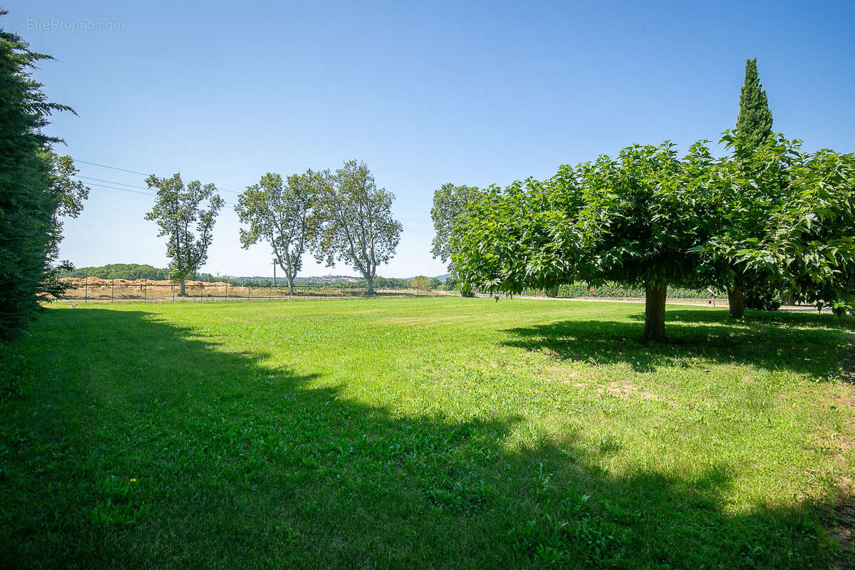 Commerce à MALLEMORT