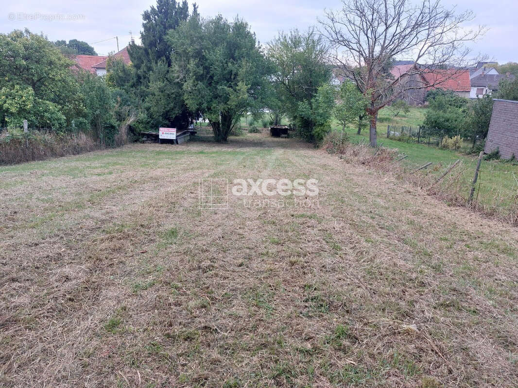 Terrain à WEITBRUCH