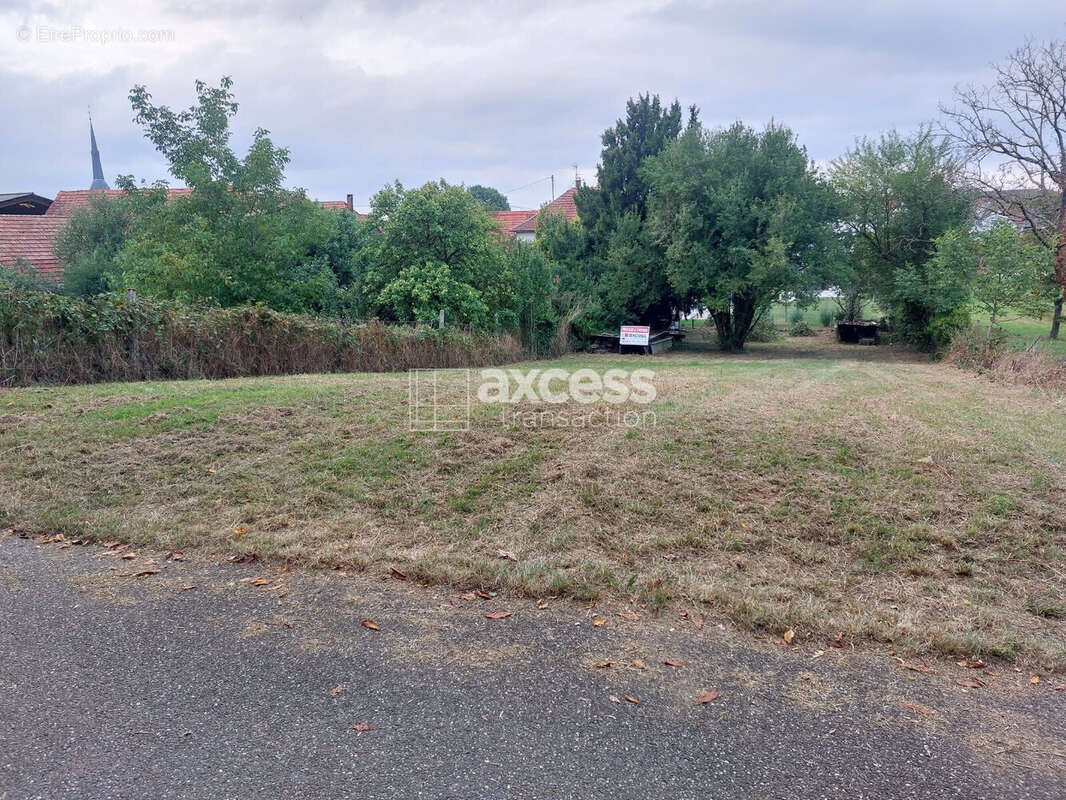 Terrain à WEITBRUCH