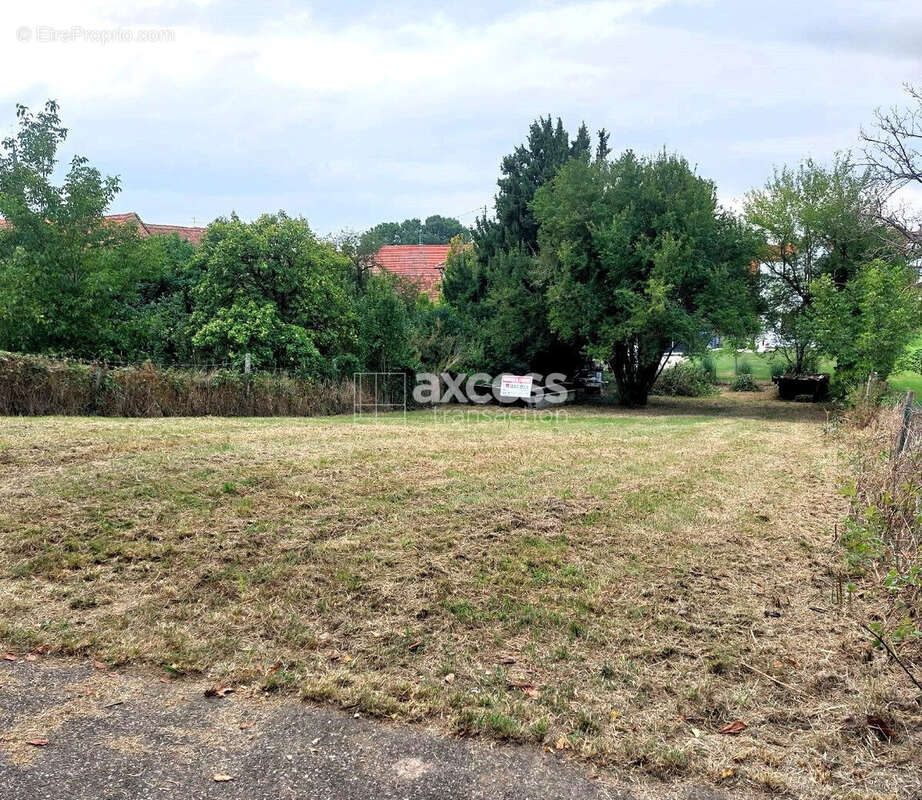 Terrain à WEITBRUCH