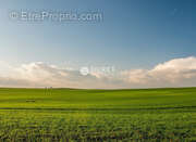 Terrain à CHANTONNAY