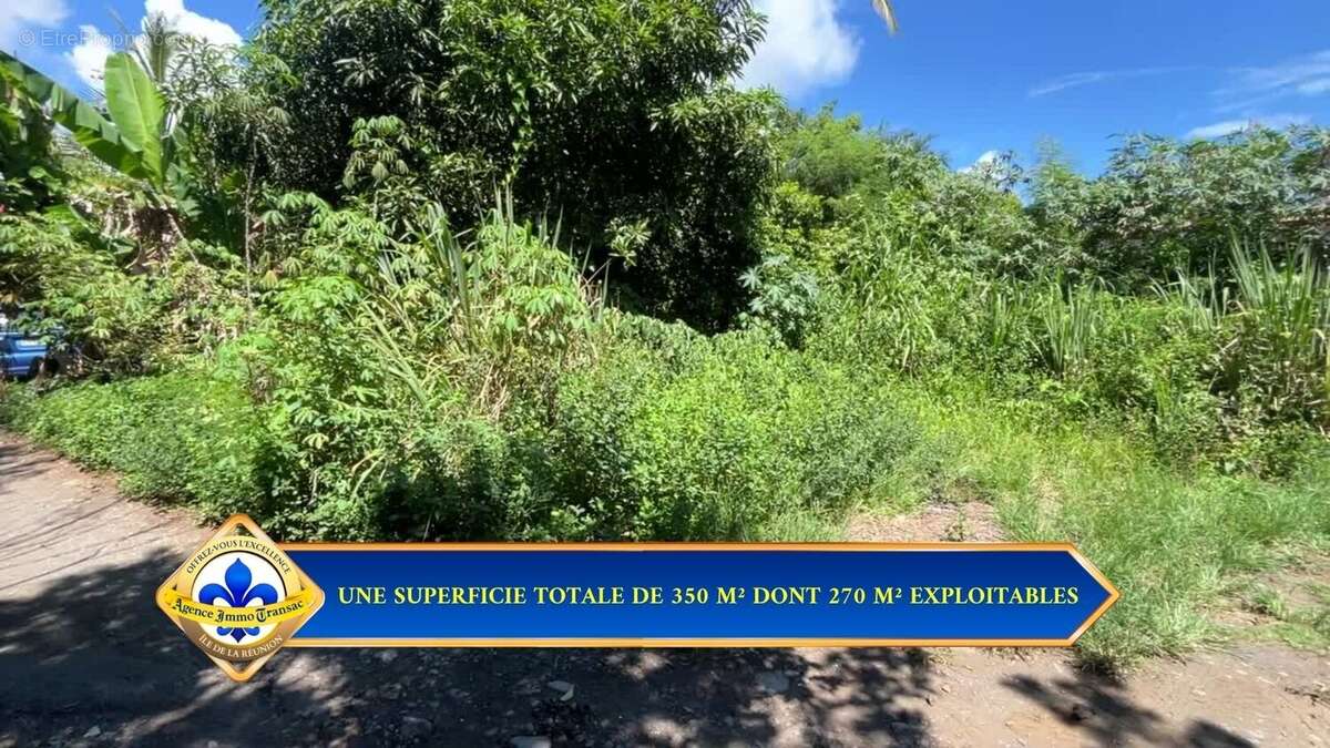 Terrain à SAINT-ANDRE