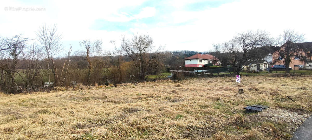 Terrain à BEAUCOURT
