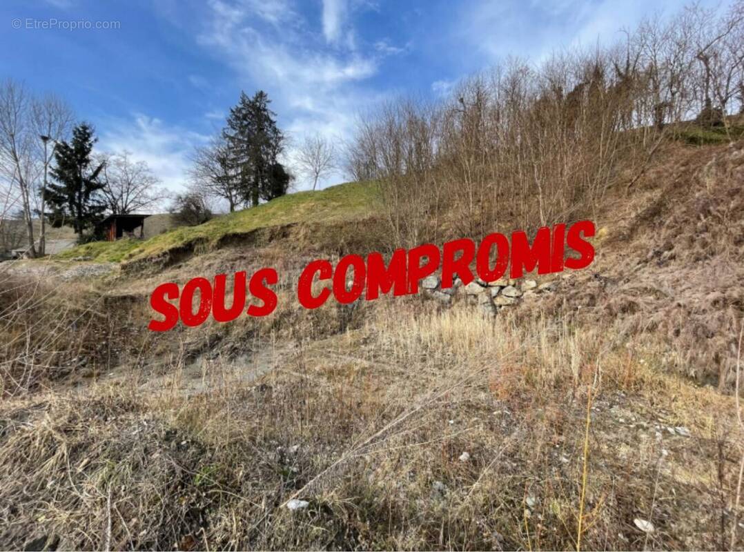 Terrain à COISE-SAINT-JEAN-PIED-GAUTHIER